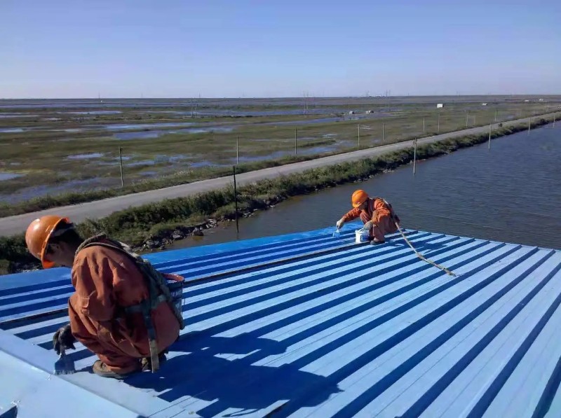 恩施彩钢瓦屋面防腐翻新